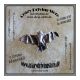 Ohrring , Motiv: Fledermaus , mittelalterlich , 3-D , Verkauf: Stck