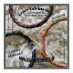 Armband , handgefertigt , geflochten , rund , Leder ,...