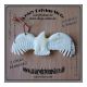 Rohmaterial , Knochenschnitzerei , Adler im Flug , wei� ,...