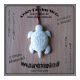 Rohmaterial , Knochenschnitzerei , Schildkr�te , wei� ,...